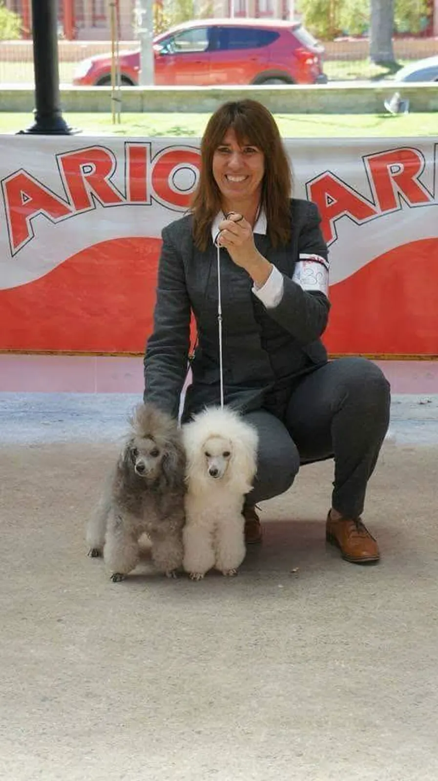 Imara con dos caniches Toy, gris y blanco
